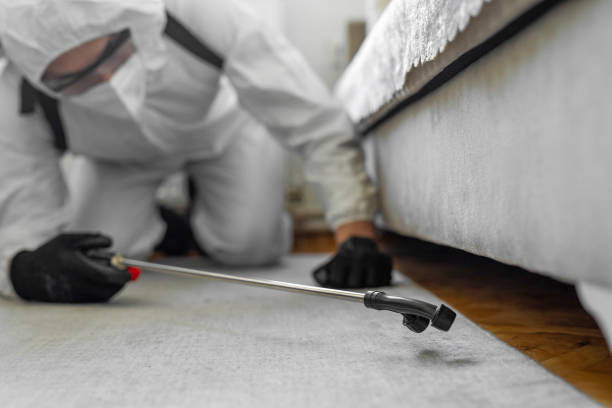 Professional Cockroach Control technician working in Stonewall, LA